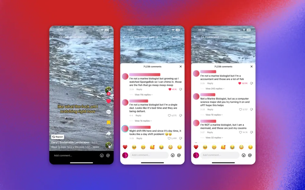 三、开店卖货：TikTok Shop 的长期玩法