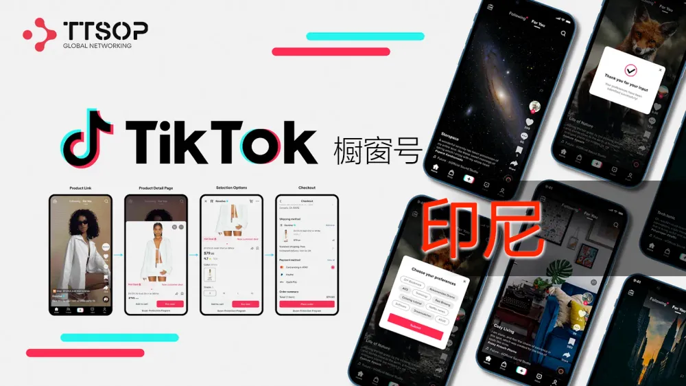 印尼TikTok橱窗号