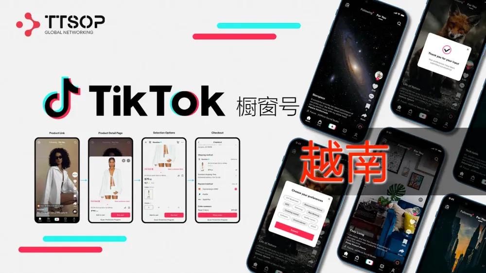 越南TikTok橱窗号